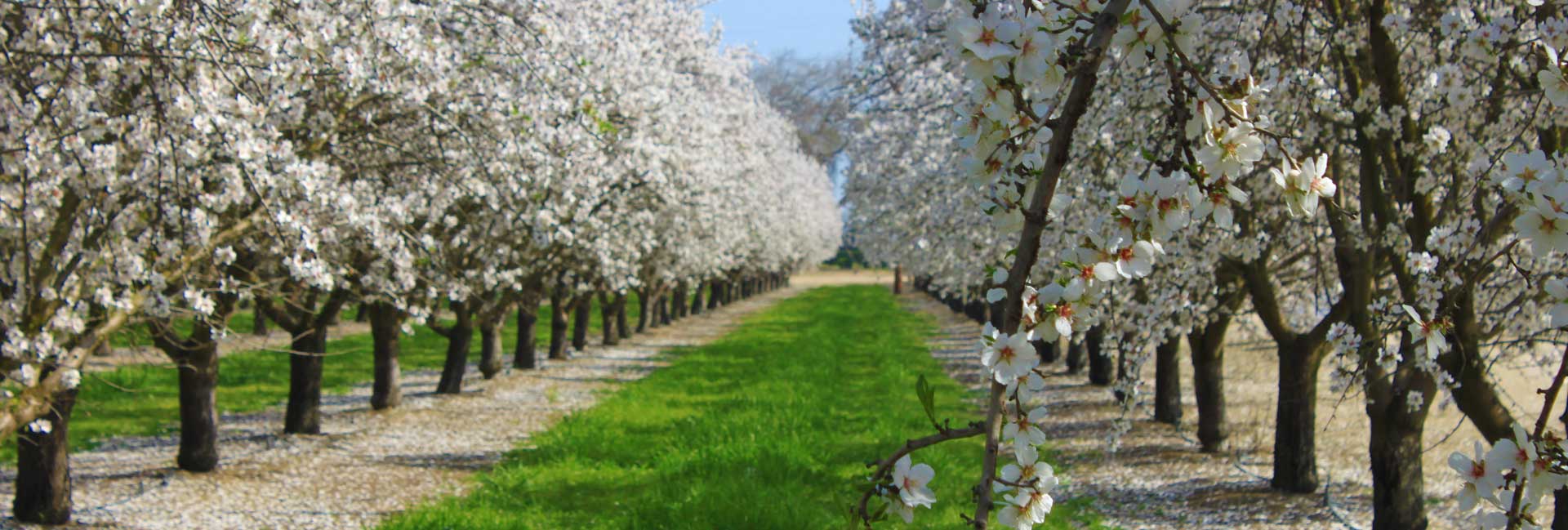 Home Rural Ag Insurance Services